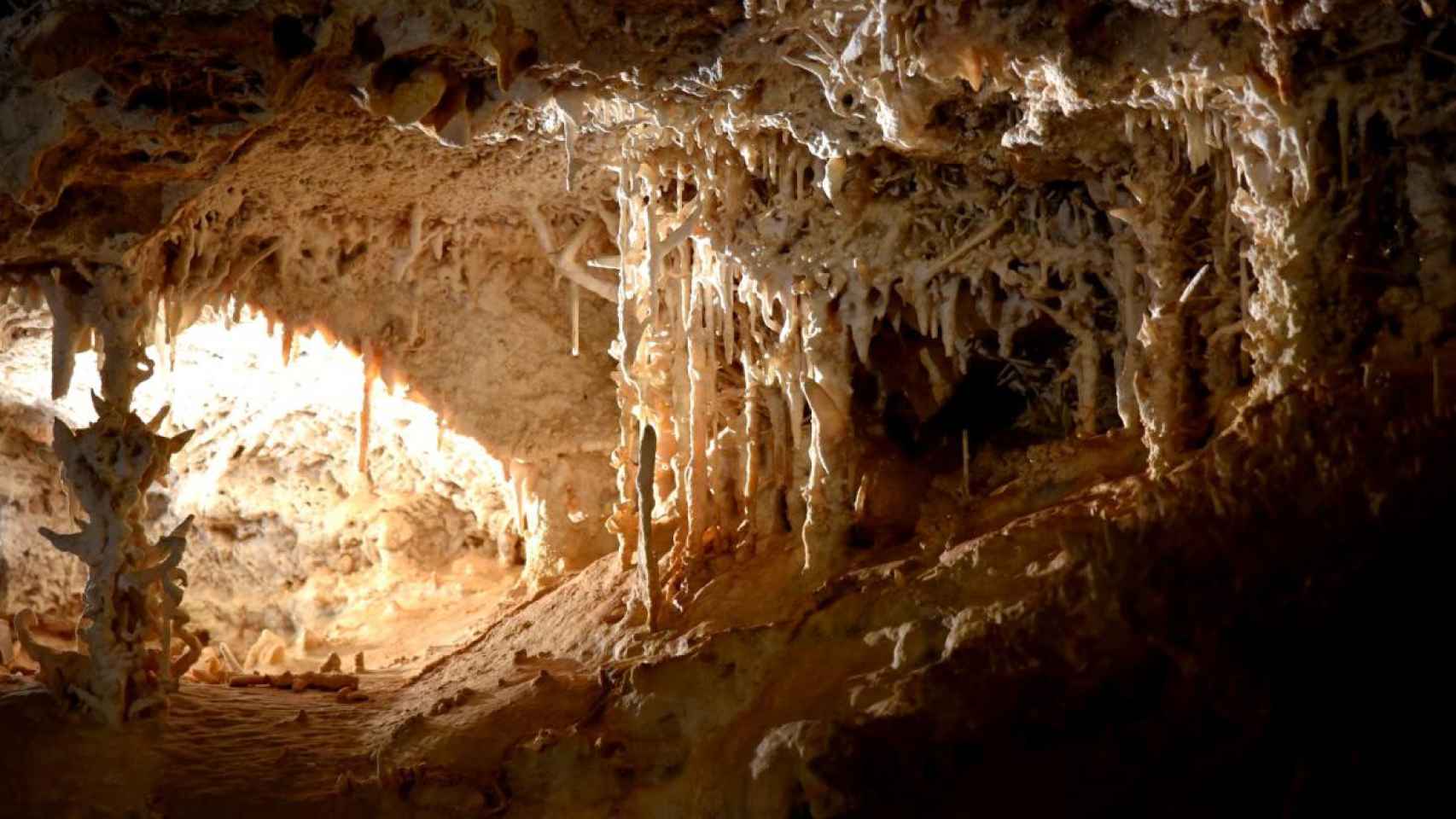 Cueva dels Dos