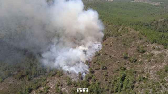 Incendio forestal en Tivissa
