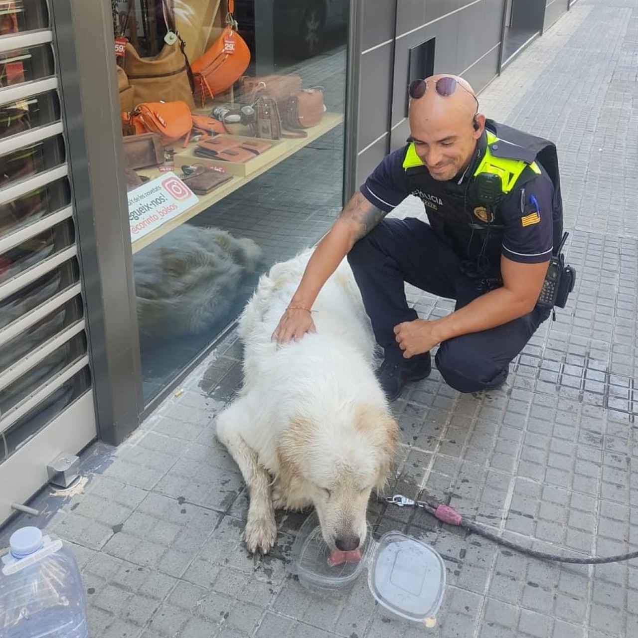 Agentes de la Policía Municipal de Terrassa y efectivos de los Bomberos de la Generalitat rescatan a un perro