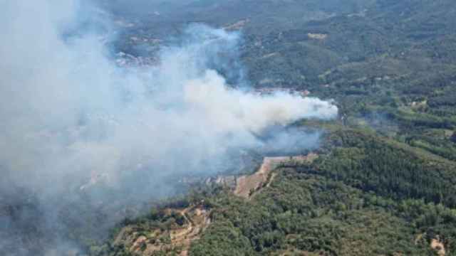 Incendio de vegetación en en Arbúcies (Girona)