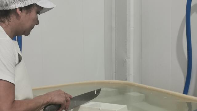 El boom del tofu comenzó en Euskadi/ZUAITZO