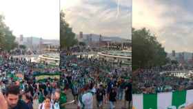 Miles de aficionados béticos invadieron el Estadi Olímpic Lluís Companys