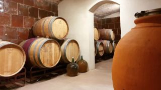 Rancio y de poca producción: así es el mejor vino de España (y es catalán)
