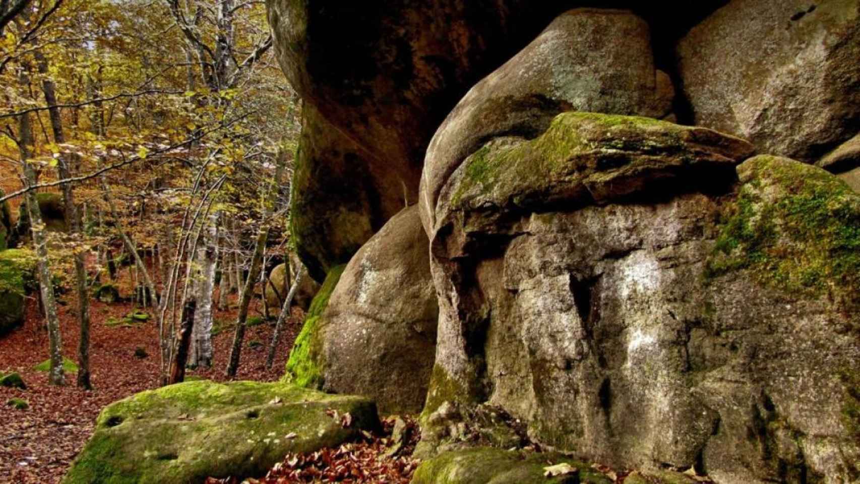 El bosque de las rocas encantadas