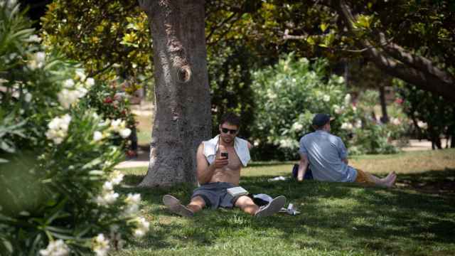 Una persona se cubre del sol bajo un árbol en el parque de la Ciudadela, a 18 de julio de 2023, en Barcelona,