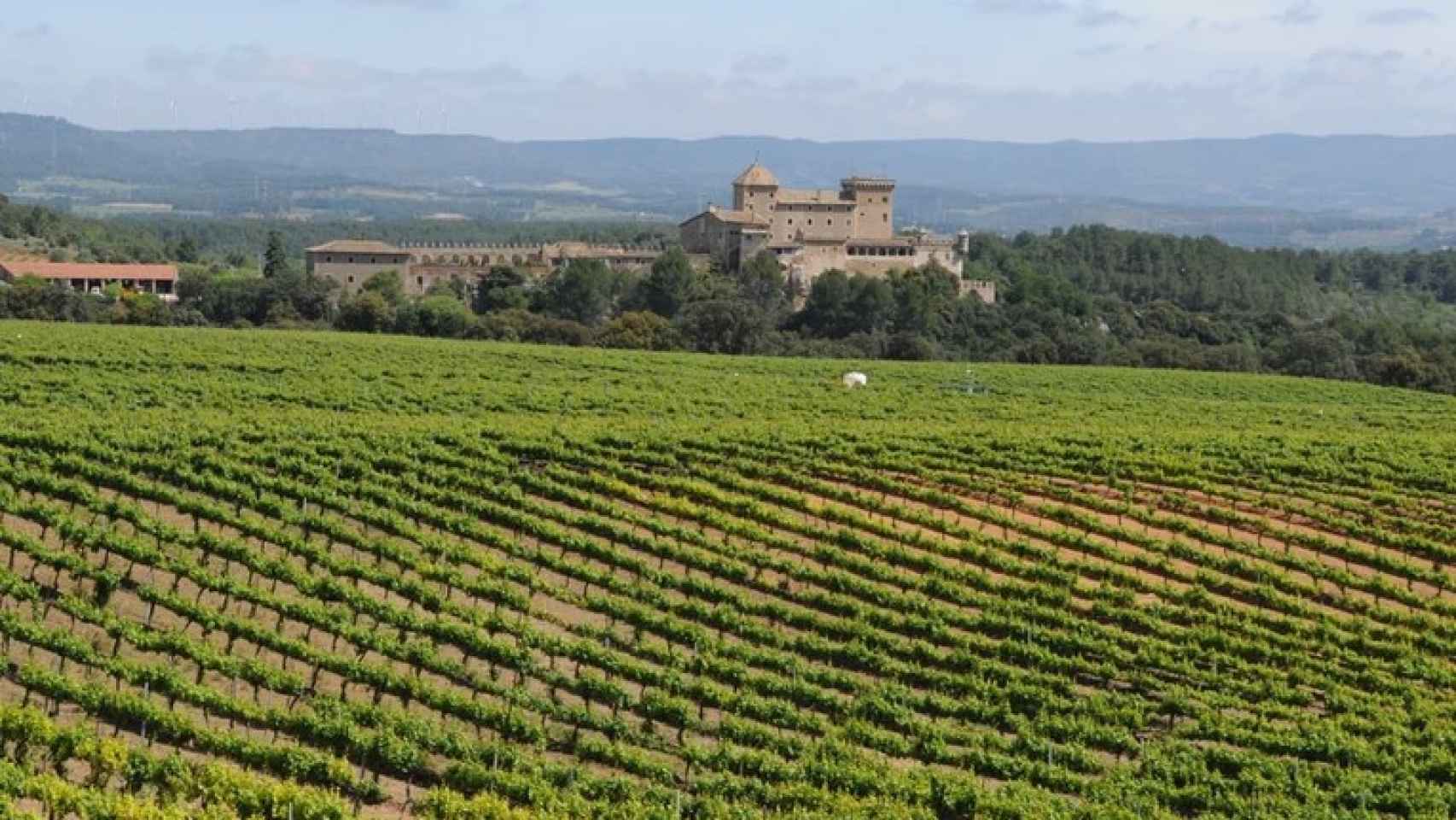 Castillo de Riudabella con los viñedos
