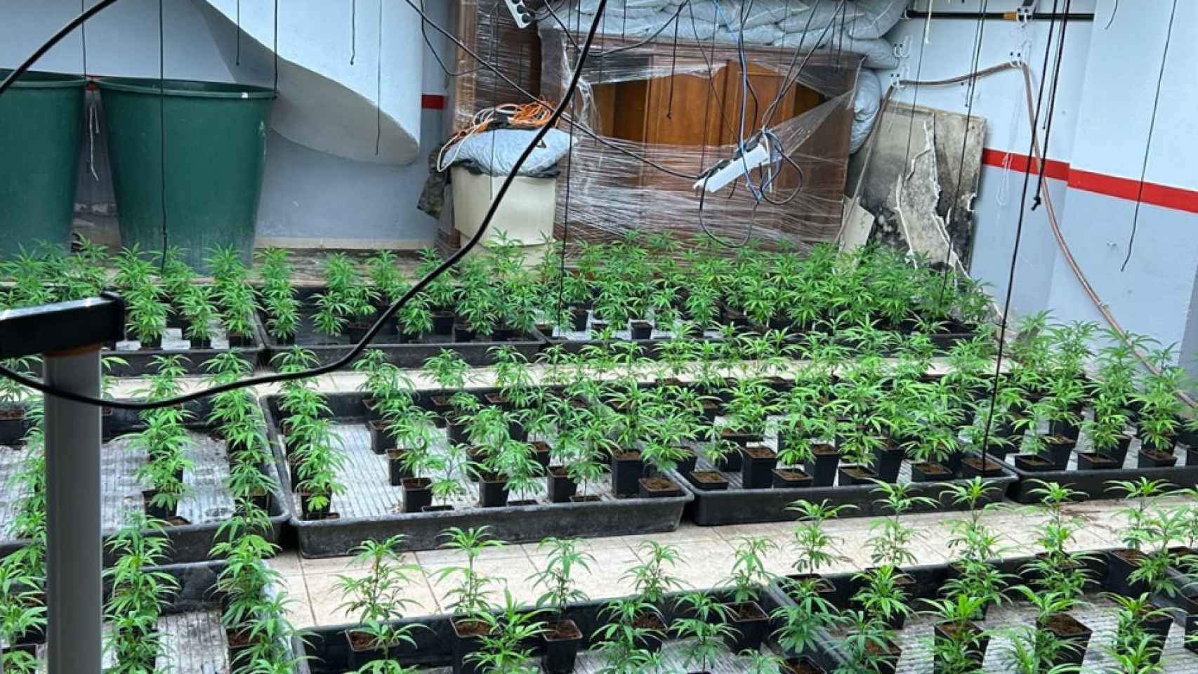 La casa que el grupo criminal utilizaba para cultivar marihuana en Alella