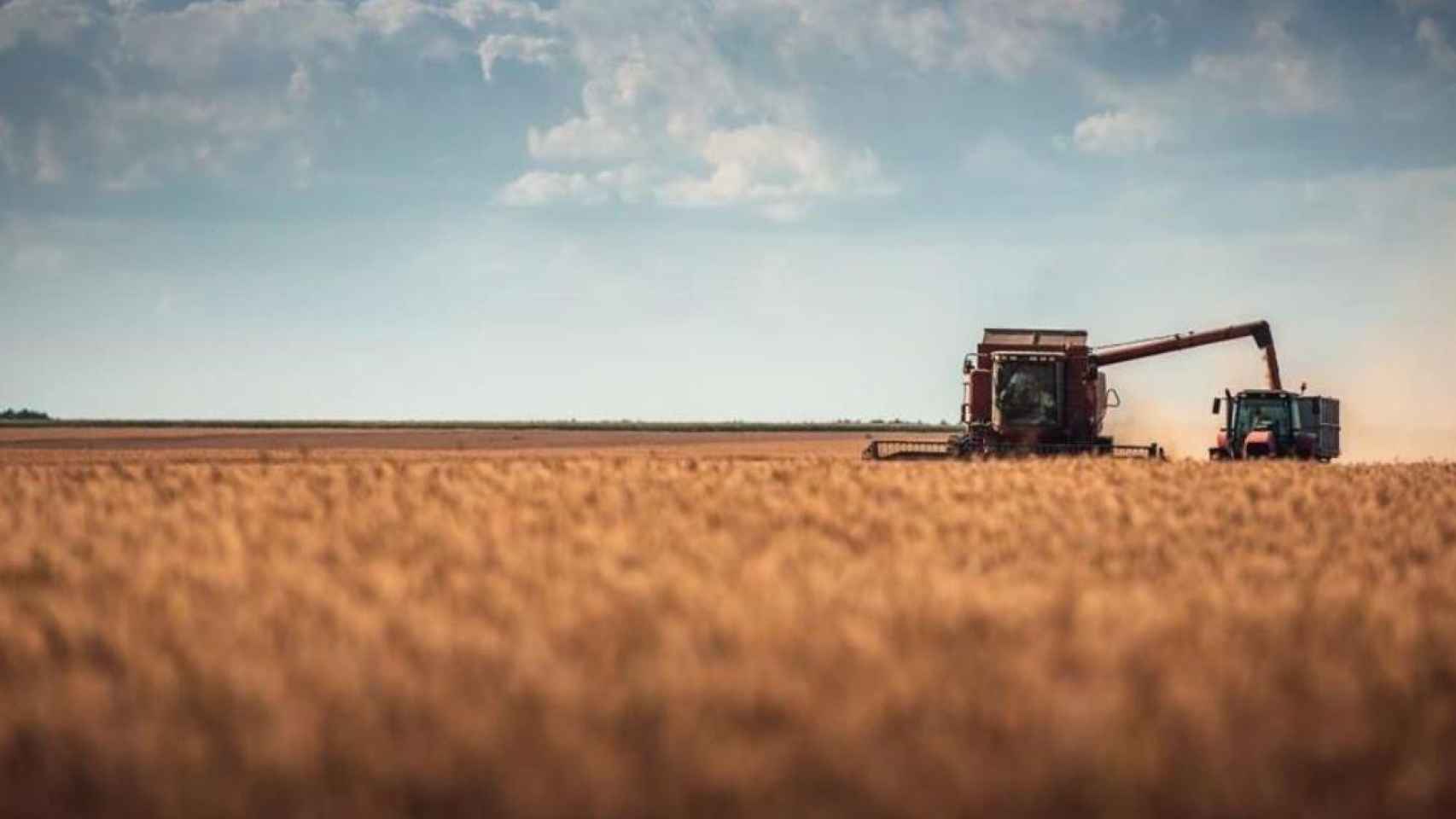 El sector de la agricultura prepara su disrupcin tecnolgica. / EP