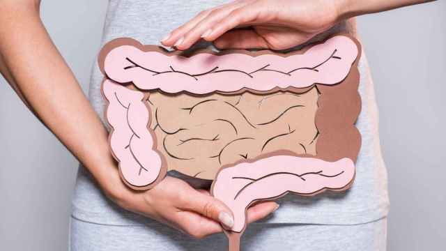 El aparato digestivo mantiene una conexin directa con el cerebro / QUIRNSALUD