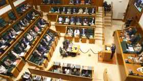 Pleno en el Parlamento vasco. / EFE