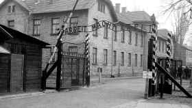 El horror de la Alemania nazi llega al Centro Memorial con una exposicin sobre Auschwitz / CORDON PRESS