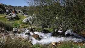 El Gobierno vasco apuesta por el ecoturismo como clave para la recuperacin del sector/ EP