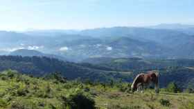 Campo para hacer senderismo como plan en Euskadi