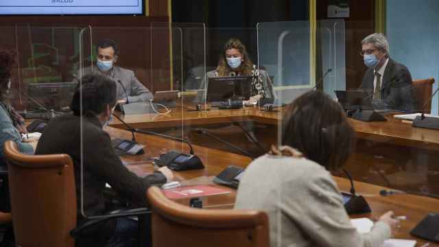 La consejera de Salud, Gotzone Sagardui, este mircoles durante la comisin en el Parlamento vasco. EUROPA PRESS