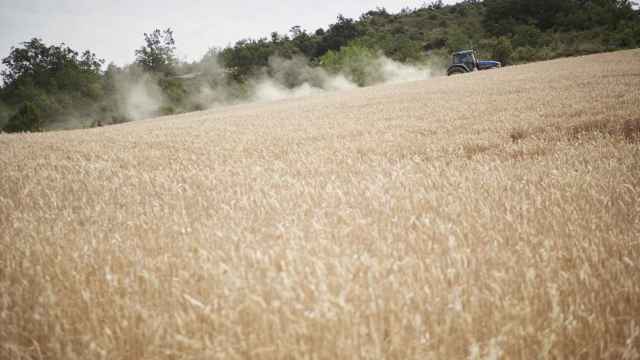 Un tractor circula junto a un campo de trigo / Europa Press