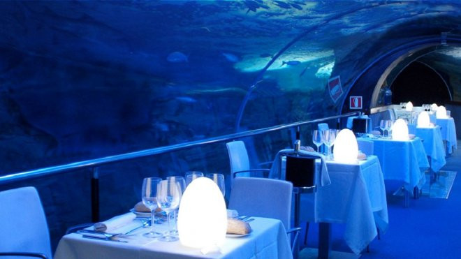 Cena con vistas en el Aquarium / SITE OFICIAL AQUARIUM SAN SEBASTIÁN