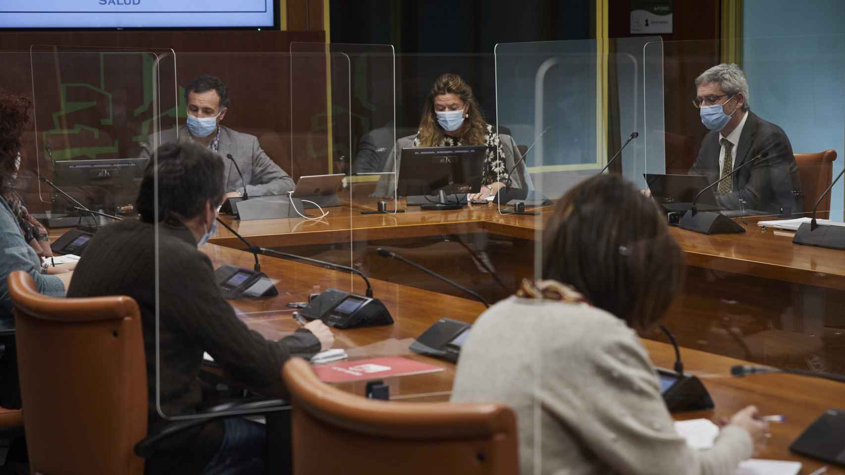 La consejera de Salud del Gobierno vasco, Gotzone Sagardui, en el Parlamento/ EP