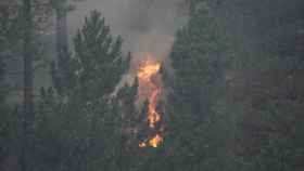 Incendio en la zona de Peas Negras, cerca de La Arboleda / EP