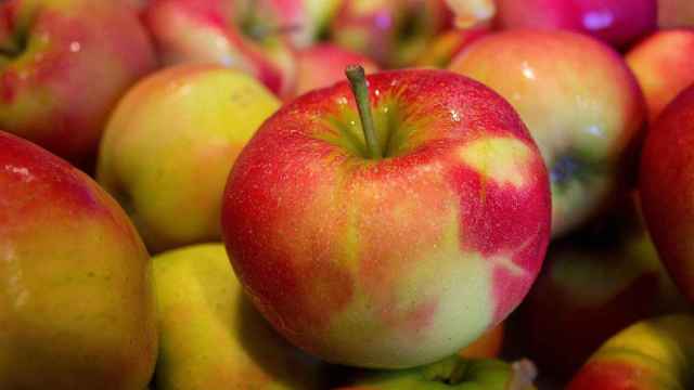Manzanas apiladas en un almacn de fruta / CV
