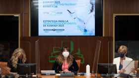 La consejera de Desarrollo Econmico del Gobierno vasco, Arantxa Tapia, en la presentacin de la Estrategia Vasca de Transformacin Digital en el Parlamento vasco. / EP