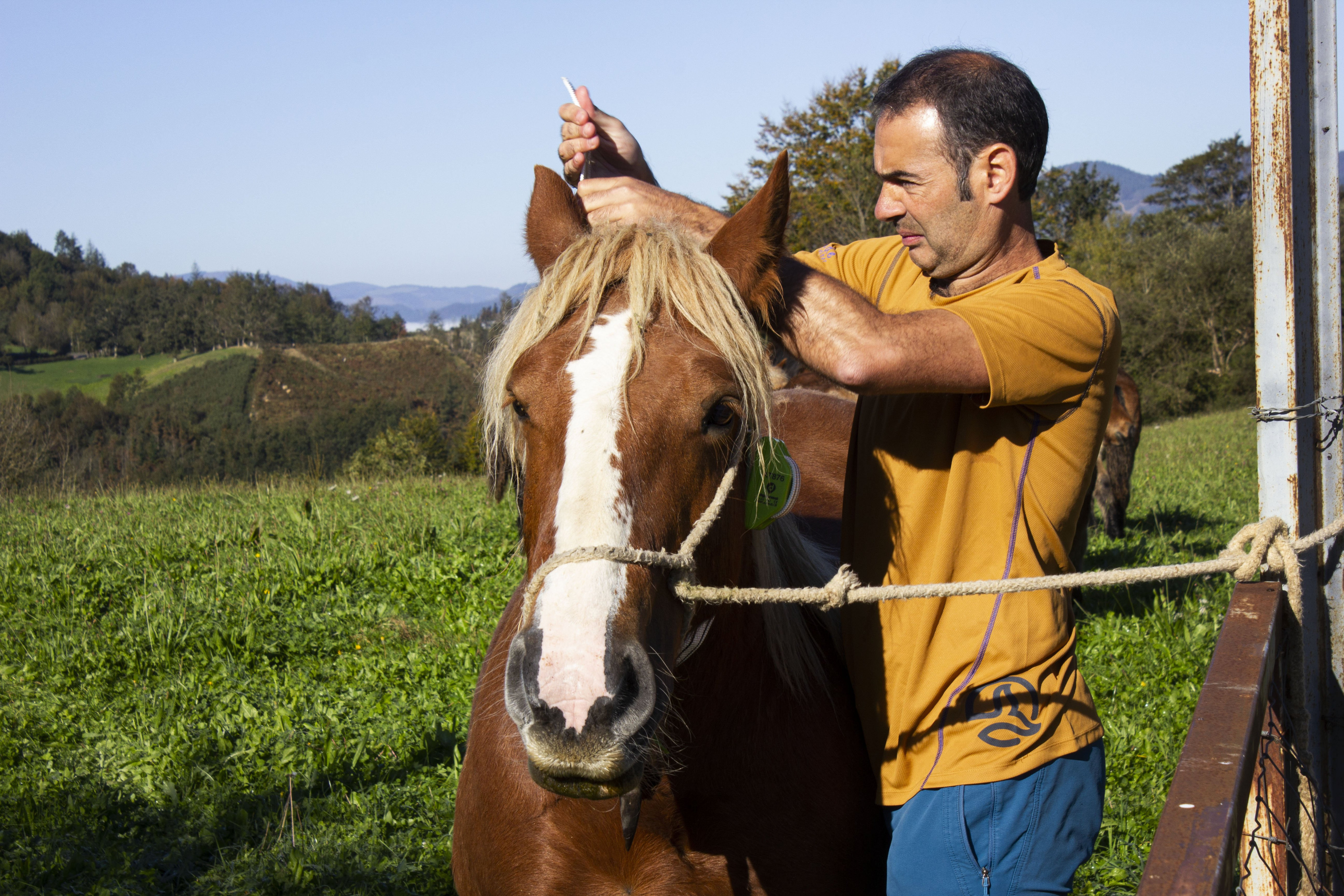 El alcalde de Abaltzisketa, Jon Zubizarreta, instalando un sistema de GPS en un caballo / Hispasat