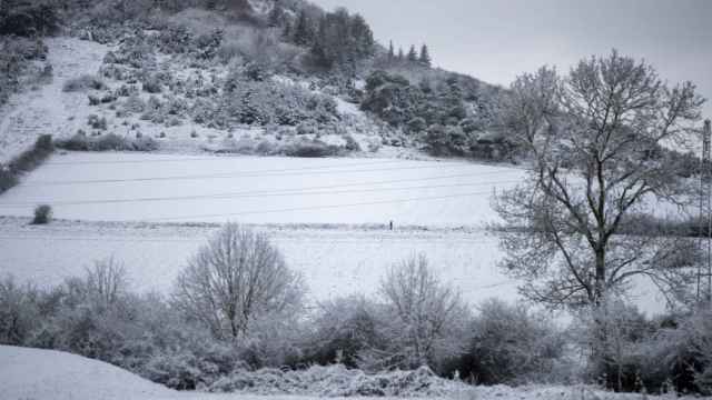 Una persona pasea en el campo nevado a las afueras de Vitoria./EFE