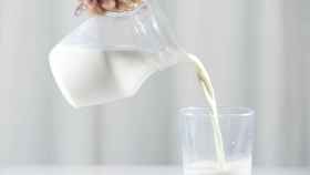 La leche es una fuente de energa que posee un componente, la lactosa, a la que algunas personas tienen intolerancia / EP