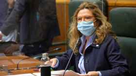 La consejera de Salud del Gobierno vasco, Gotzone Sagardui, durante una reciente comparecencia en el Parlamento. EFE