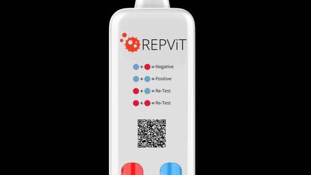 Prueba REViT/ CV