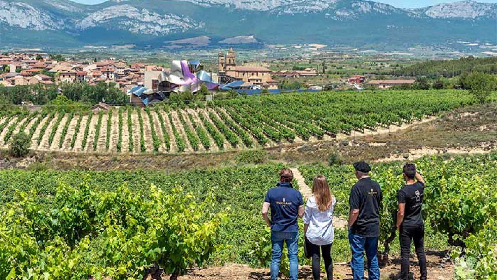 Enoturismo en Rioja Alavesa. / Bodegas Valdelana