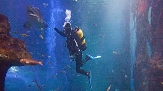 Uno de los museos ms curiosos del Pas Vasco / AQUARIUM