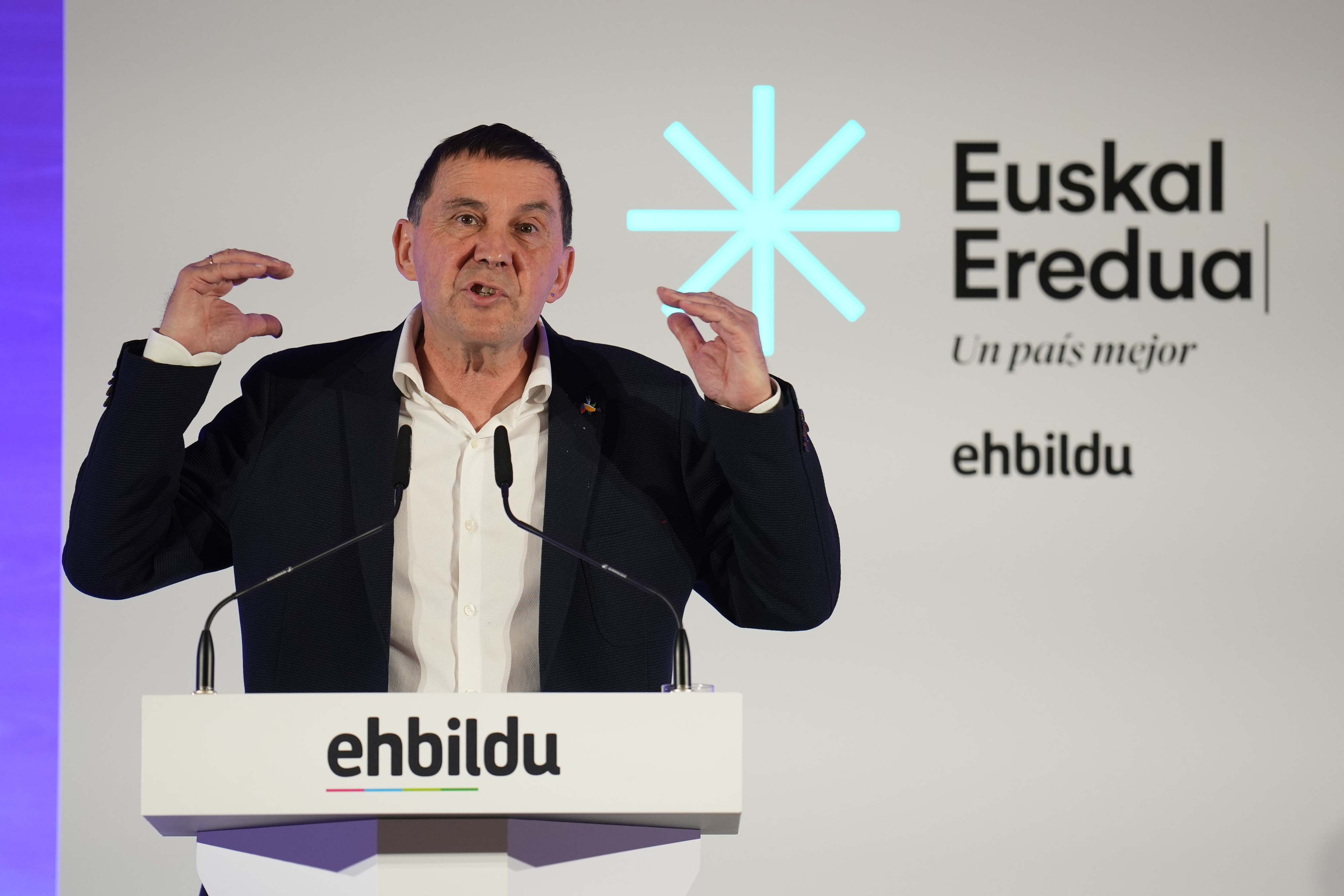 El coordinador general de EH Bildu, Arnaldo Otegi. / EFE
