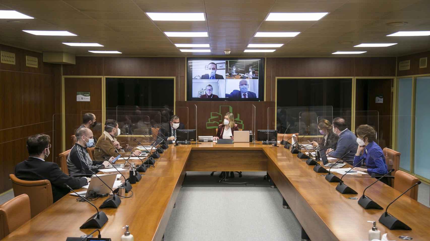 El presidente del TVCP, Jos Luis Bilbao, durante su intervencin parlamentaria de este viernes va telemtica junto al resto de su equipo. PARLAMENTO VASCO