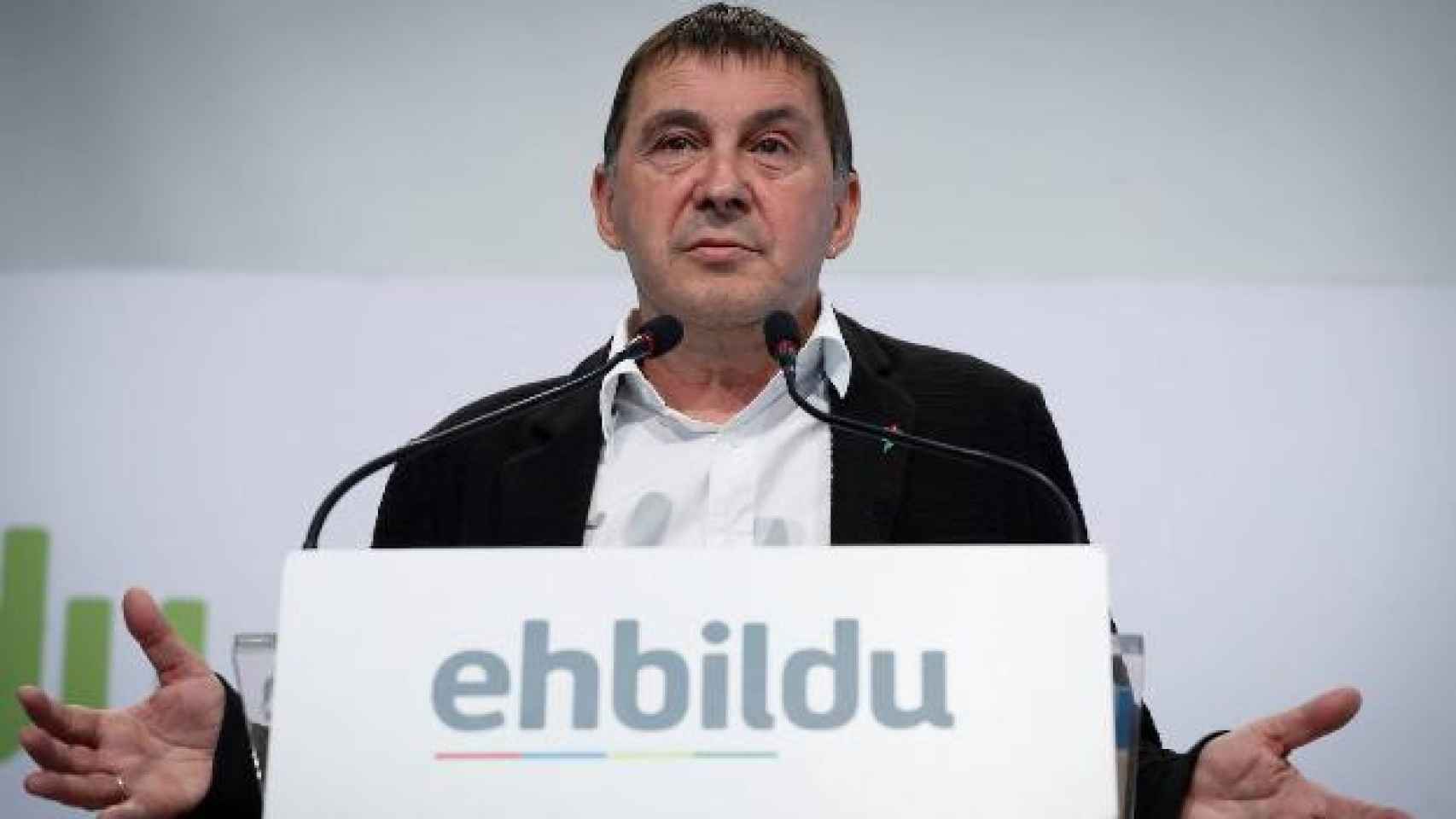 El coordinador general de EH Bildu, Arnaldo Otegi / EFE