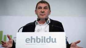El coordinador general de EH Bildu, Arnaldo Otegi / EFE
