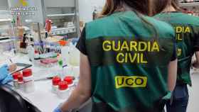 La Guardia Civil desarticulan una red que operaba en Gipuzkoa dando medicamentos prohibidos a deportistas de lite. / Guardia Civil