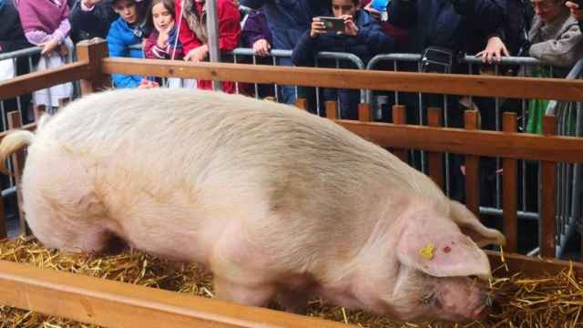 Suspendido Santo Toms en Donostia por la pandemia. / EUROPA PRESS