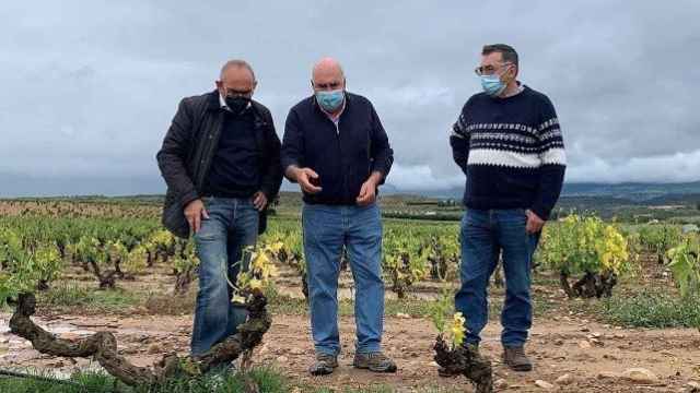 El diputado general de lava, Ramiro Gonzlez, ha visitado este viernes la comarca de Rioja Alavesa para conocer la afeccin sufrida por los viedos. / EP