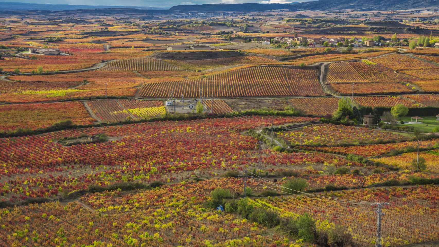 Paisaje de Laguardia, en Rioja Alavesa / GETTY IMAGES