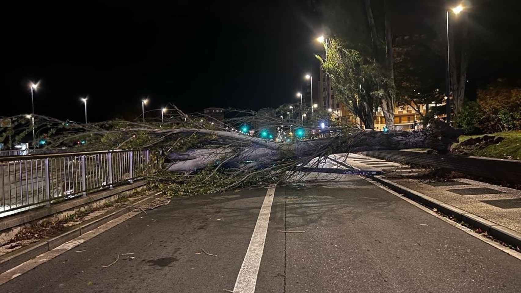 Un árbol derribado por el viento en Vitoria-Gasteiz / Ayuntamiento de Vitoria