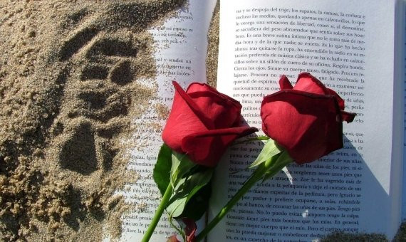 Libro y rosas en la playa
