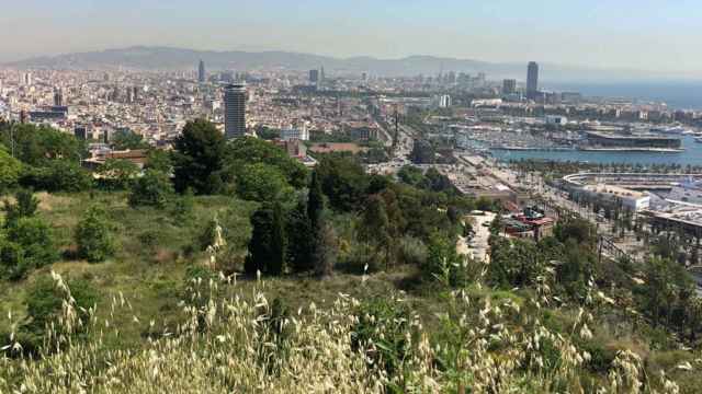 Vistas de Barcelona desde los jardines del Mirador del Alcalde / M.S.