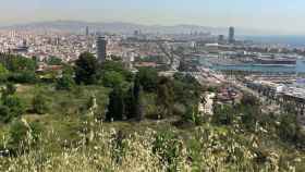 Vistas de Barcelona desde los jardines del Mirador del Alcalde / M.S.