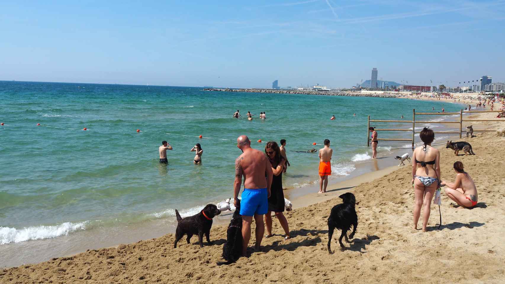 Perros y usuarios en la playa de Llevant / ARCHIVO
