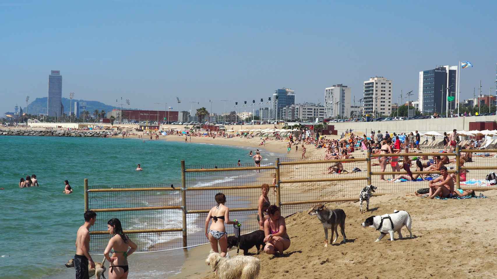 El área acotada para perros en la Playa de Llevant / AM