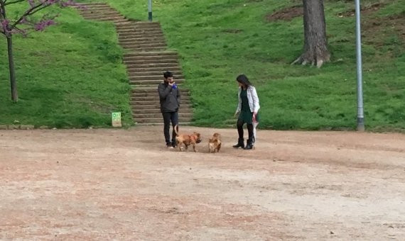 Dos personas pasean a sus perros en el barrio de Montbau / P. A.