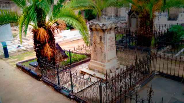 Una palmera de grandes dimensiones crece desde una sepultura y amenaza la cripta contigua /  CRÓNICA GLOBAL