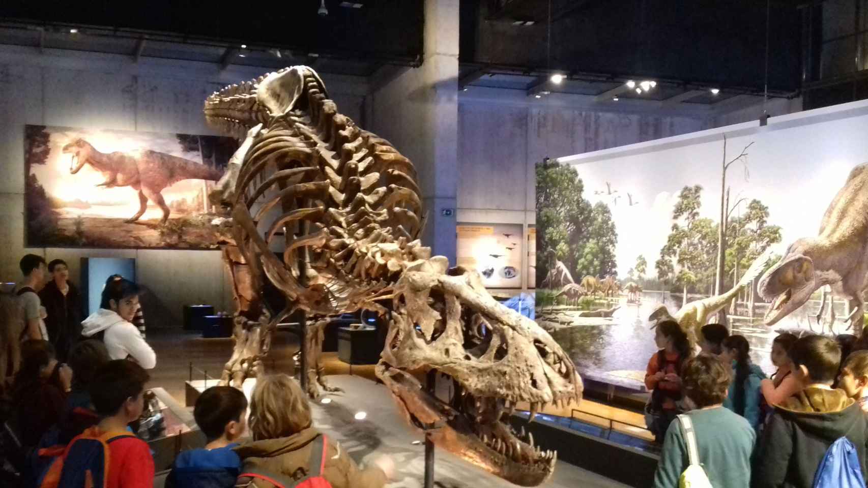 Un grupo de escolares contempla el T-Rex de Cosmocaixa / JORDI SUBIRANA