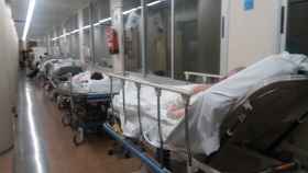 Camillas en un pasillo del Hospital de Vall d'Hebron, al límite por los casos de gripe.