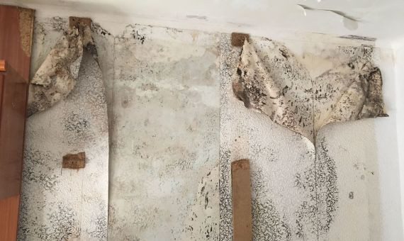 Manchas de humedad en la pared del comedor de Ciutat Meridiana donde estaba el armario ahora caído / X. A.